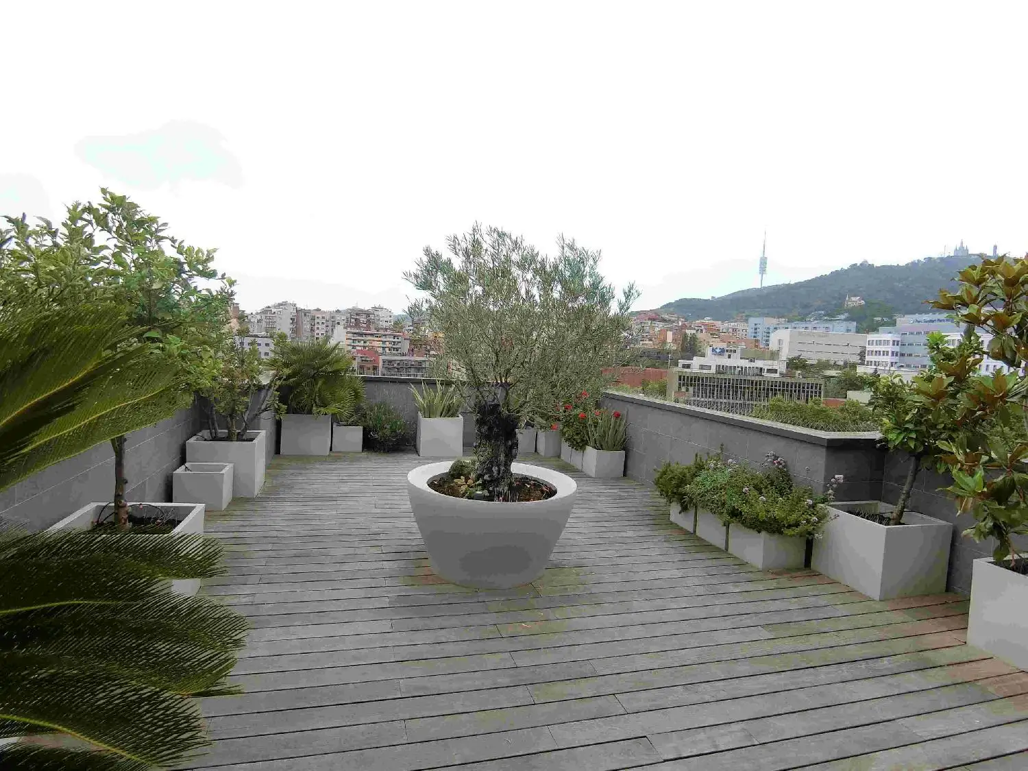 自宅のベランダから