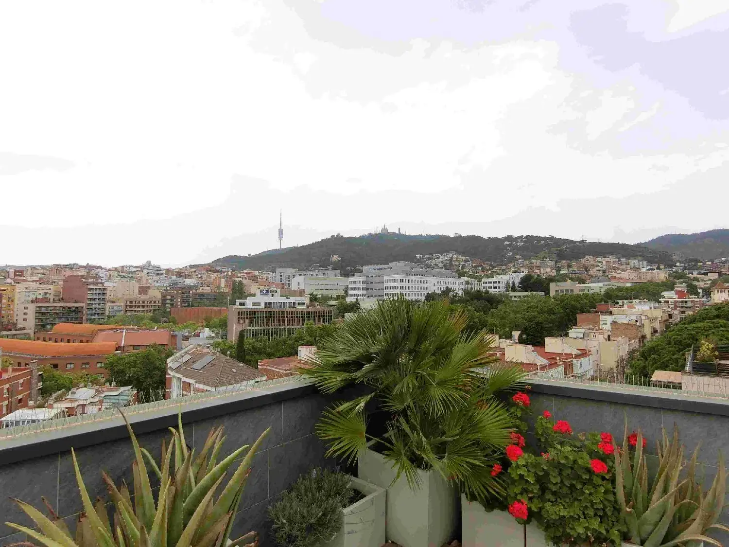 自宅のベランダから